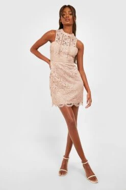 Boutique Racer Bodycon-Kleid Aus Spitze 8 Boutique Racer Bodycon-Kleid Aus Spitze -Stil Formen Verkäufe dzz56894 mink xl 2