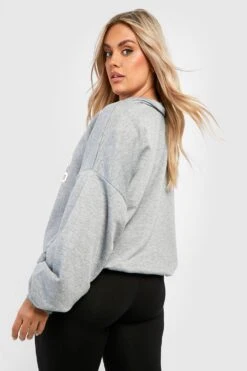 Plus Colorado Sweatshirt Mit Halbem Reißverschluss -Stil Formen Verkäufe gzz39435 ash20grey xl 1