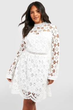 Plus Premium Skaterkleid Aus Spitze