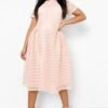 Plus Boutique Midikleid Mit Weitem Rock -Stil Formen Verkäufe pzz10289 blush xl